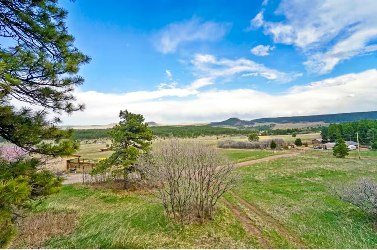 Eastern view of Colorado mesa and pine hills